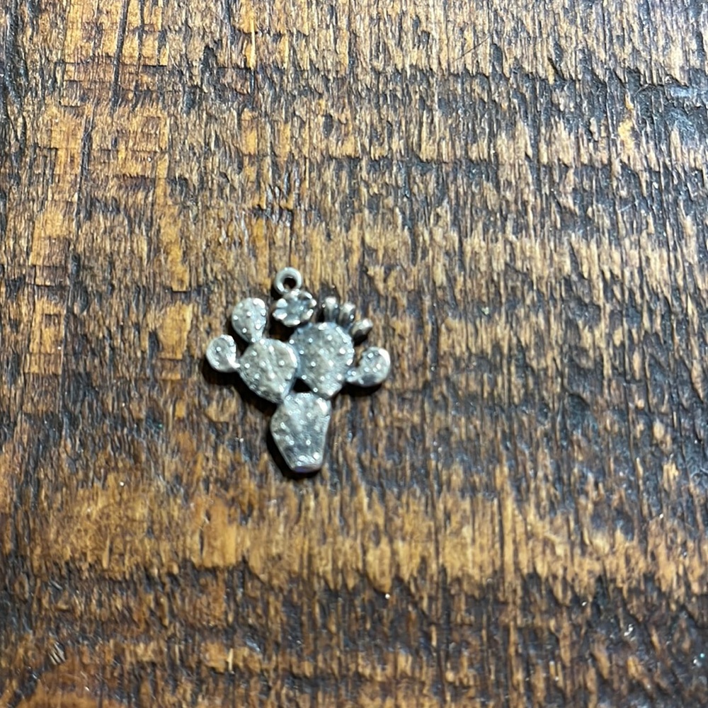 ✨Retired & Rare✨  James Avery Large Cactus 🌟OFFERS WELCOME